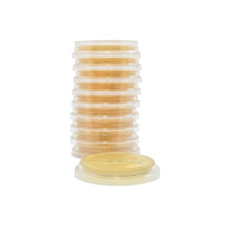 Tryptic Soy Agar (TSA), with Lecithin and Tween 80, USP, irradiated, triple bagged, contact plate, Lok-Tight friction lid with optional locking feature, order by the package of 10