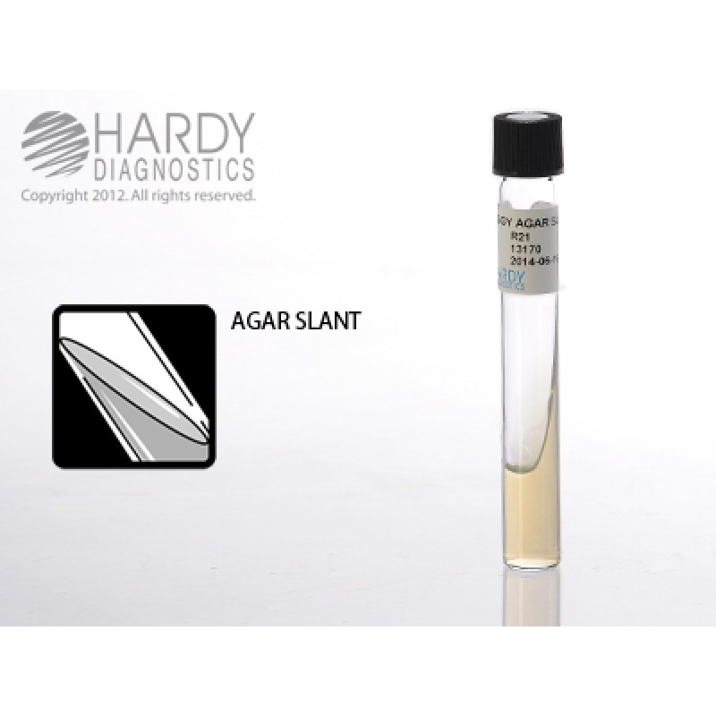 Hardy Diagnostic R21 Liquid Culture Media, BiGGY Agar Slant Tube,  3 mL, 365 Day Shelf Life (Pack of 20)