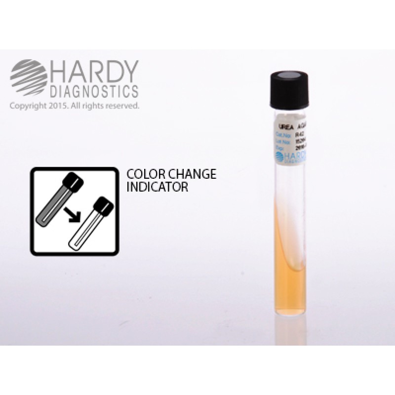 Hardy Diagnostic R42 Liquid Culture Media, Urea Agar Slant Tube,  180 Day Shelf Life (Pack of 20)