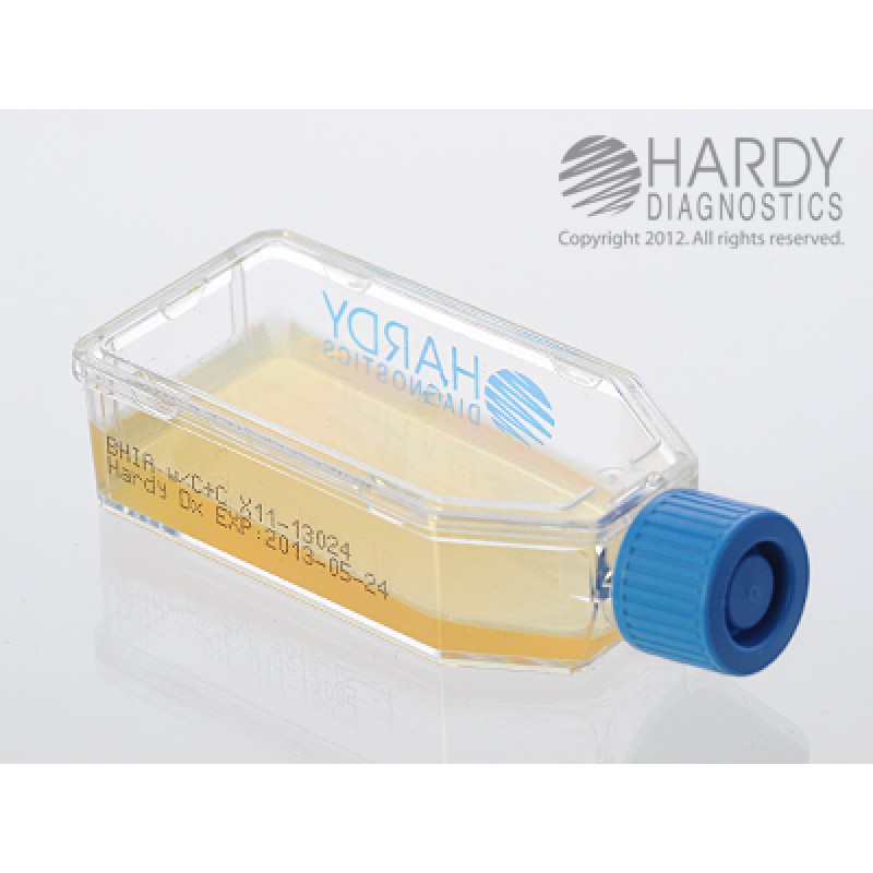 Hardy Diagnostic X11 Broth, BHI Agar w/ Chlorineoramphen Plastic HardyFlask,  120 Day Shelf Life (Pack of 20)