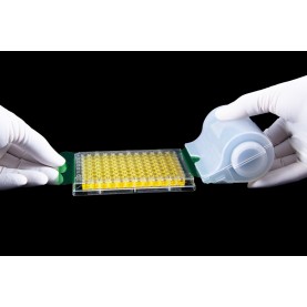 SM-KIT-SPS Excel Scientific SealPlate® Starter Kit with Polyester Sealing Film, Clear, 50 µm Thick, Sterile, Designed for ELISA and Incubation (Case of 1)