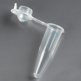 Globe Scientific 0.2 mL PCR Tube, Natural, Dome Cap