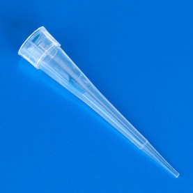 Globe Scientific 0.1-10 µL Pipette Tip 