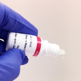 Drop-n-Stain™ CF®594 Donkey Anti-Rabbit IgG (H+L), Highly Cross-Adsorbed