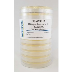 21-40S115, LB Agar w/Chloramphenicol, Plated Agar, 20 ml/plate, Culture Media, Moltox