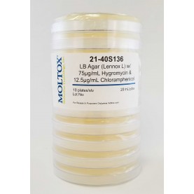 21-40S136, LB Agar w/Hygromycin & Chloram, Plated Agar, 20 ml/plate, Culture Media, Moltox