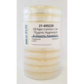 21-40S229, LB Agar (Lennox L) Hygro & Kan, Plated Agar, 20 ml/plate, Culture Media, Moltox