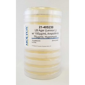 21-40S230, LB Agar (Lennox) Amp & Hygro, Plated Agar, 20 ml/plate, Culture Media, Moltox