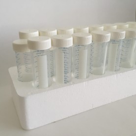 227281 Greiner Bio 50 mL CELLSTAR Centrifuge Tube, Natural Tube, White Cap, Sterile (25 Tubes/Rack, 300 Tubes/Case)