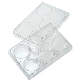 CELLTREAT 6-Well Clear Tissue Culture Plate SKU 229105