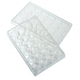 CELLTREAT 24-Well Clear Tissue Culture Plate SKU 229123