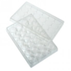 24 Well Tissue Culture Plate with Lid, 5/Pack, Sterile