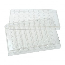 CELLTREAT 48-Well Clear Tissue Culture Plate SKU 229147