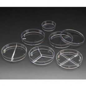 229682 CELLTREAT 2 Compartment Petri Dish, 100 mm x 15 mm, Stackable, Sterile, 500 Dishes