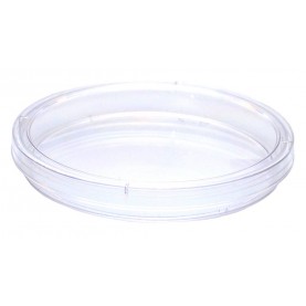 Kord Valmark 600 ct, Polystyrene Mono Plate, 85x13mm