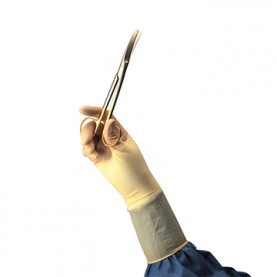 Glove, Latex Surgical, Size 8.5, Sterile, 50 pr/bx, 4 bx/cs (Continental US Only)