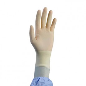 Glove, Cleanroom, Powder-Free (PF), Latex, Large, 100/bg, 10 bg/cs (This Product is Not Intended for Use on Patients) (Continental US Only)