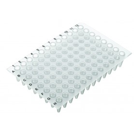 Labcon 96 Well PCR Plate, No Skirt, Standard Profile (100/Case)