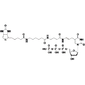 Biotium Biotin-16-dUTP  Structural Formula 