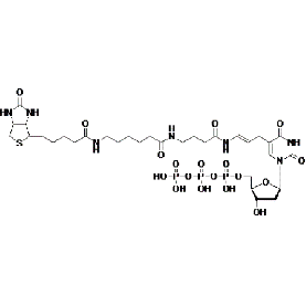 Biotium Biotin-16-dUTP lyophilized Structural Formula 