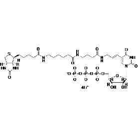 Biotium Biotin-16-UTP  Structural Formula 