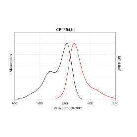 Biotium CF555-dCTP Structural Formula 