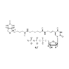 Biotium Biotin-11-dUTP  Structural Formula 