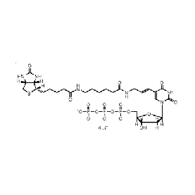 Biotium Biotin-11-dUTP lyophilized Structural Formula 