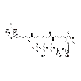 Biotium Biotin-11-UTP  Structural Formula 