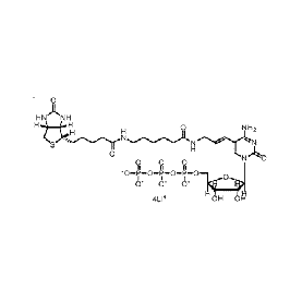 Biotium Biotin-11-CTP  Structural Formula 