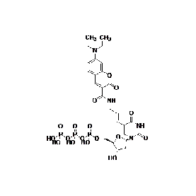 Biotium DEAC-dUTP Structural Formula 