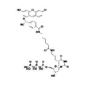 Biotium Fluorescein-12-dP Structural Formula 