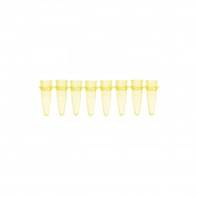 0.2 mL