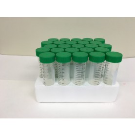 229422 CELLTREAT 50 mL Centrifuge Tube, Clear, Sterile, Foam Racks (300 Tubes/Case, 25 Tubes/Rack)