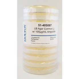 51-40S087, LB Agar w/100ug/ml Ampicillin, Plated Agar, 20 ml/plate, Culture Media, Moltox
