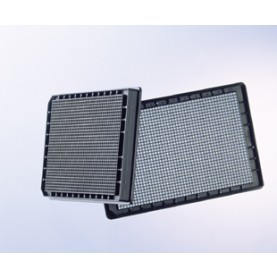 655892 Greiner-Bio 96 Well Sensoplate™ Cell Culture Microplate, Flat Bottom, Black Plate, Clear Borosilicate Glass Well Bottom, Sterile, With Lid (Individually Wrapped, 16 Plates/Case)