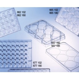 677102 Greiner-Bio CELLSTAR 48 Well Cell Culture Microplate, Suspension TC Treated, Clear (Individually Wrapped/ 100 per Case)