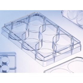 657930 Greiner-Bio CELLCOAT 6 Well Cell Culture Microplate w/ Lid, Clear, Treated w/Poly-L-Lysine (5 per bag/ 50 per pack)