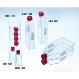 690170 Greiner Bio-One CELLSTAR T25 Tissue Culture Flask, Sterile, Plug Seal Cap,  Measuring Grid