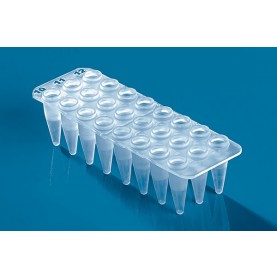 BrandTech 781411 24 Well PCR Microplate, Clear, No Skirt