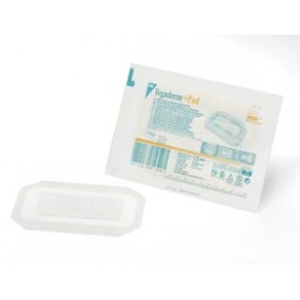 3M Health Care 3589 Transparent Dressing, 3½" x 6", Pad Size 1¾" x 4", 25/bx, 4 bx/cs (Continental US+HI Only)