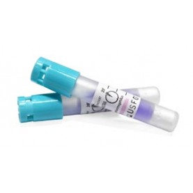 Terragene S.A. BT224 Fluorescence SCBI for Steam. 60°C (20 minutes), ULTRA RAPID, 50/bx