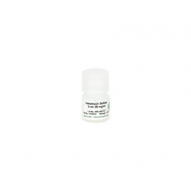 Kanamycin Sulfate (5 ml) 35mg/ml (1 x 5ml)  '*' ^