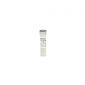 500x Concentrated Arabinose Inducer (1 ml) (Contains MgCl2 to improve growth of the autolysis strains)  '*' ^