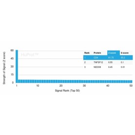 Biotium BNC043027-100, CD4 (T-Helper/Inducer Cell Marker)(CD4/3027), CF405S conjugate, 0.1mg/mL