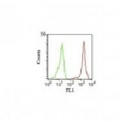 CD11a(Cris-3), CF543 conjugate, 0.1mg/mL