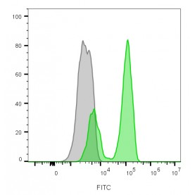CD3e(CRIS-7), CF543 conjugate, 0.1mg/mL