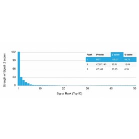 RET Proto-oncogene(RET/2976), CF568 conjugate, 0.1mg/mL