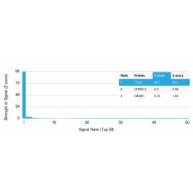 Biotium BNCB1796-100, CD22 / BL-CAM (B-Cell Marker) (BLCAM/1796), Biotin conjugate, 0.1mg/mL