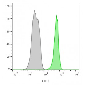 CD45 / LCA(135-4C5), 1mg/mL
